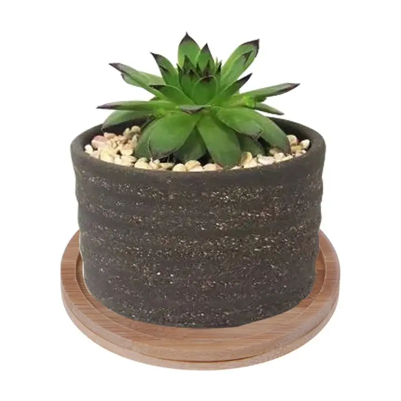 Round Bamboo Wood Saucer Plant Tray Mini Plant Flower Pot Stand Favor Succulent Pot Tray Simple Elegant Design Home Balcony Deco
Round Bamboo Wood Saucer Plant Tray Mini Plant Flower Pot Stand Favor Succulent Pot Tray Simple Elegant Design Home Balcony Deco