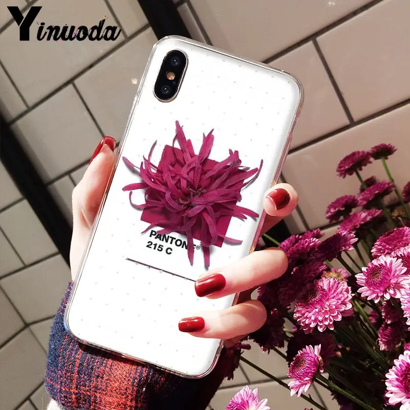 Pantone Candy Color Flower