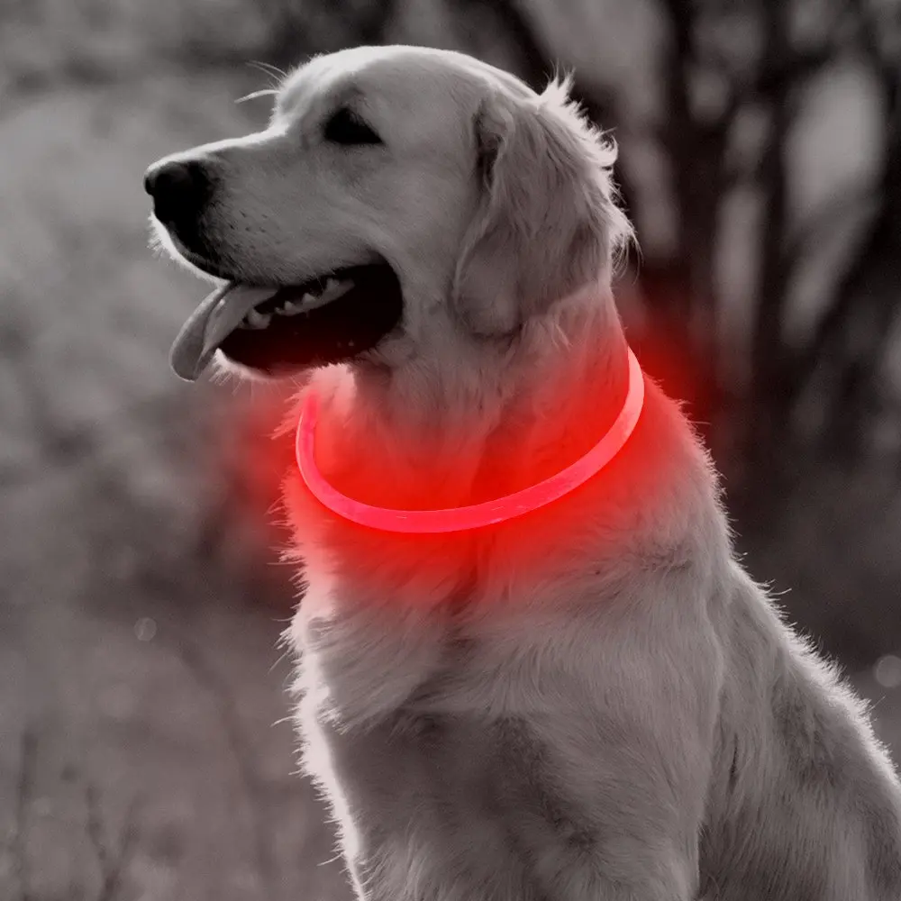 Светодиодный светильник ошейник для собак|Воротники| |