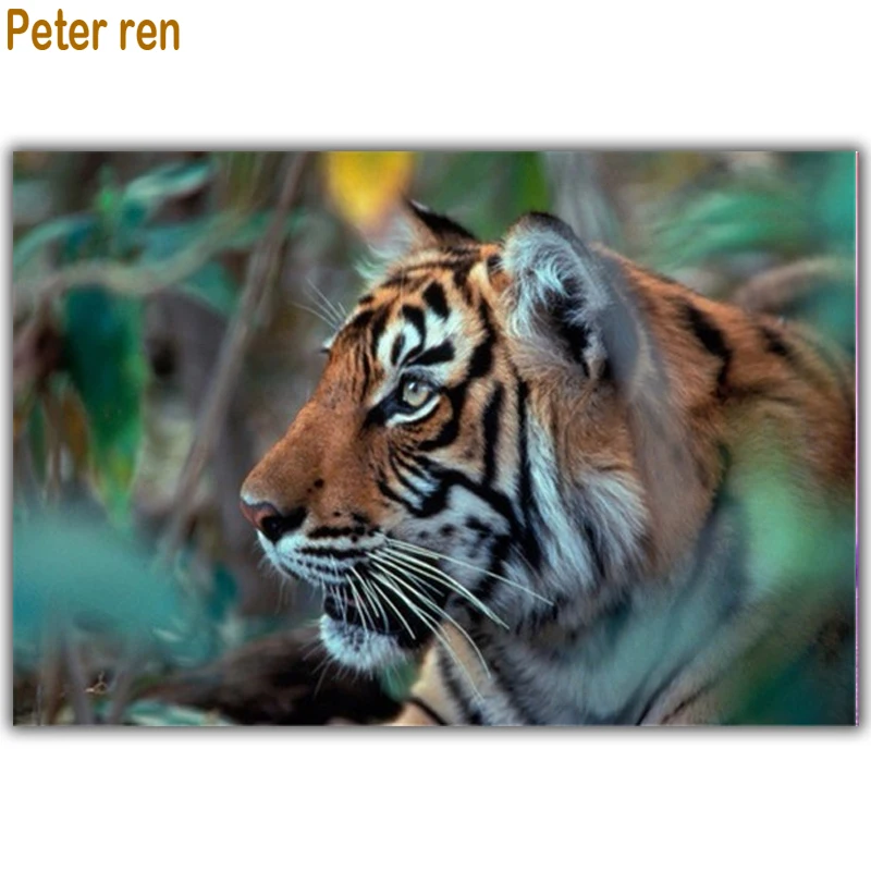 

Peter ren Diamond painting Beaded embroidery Modular pictures Round \ Square Mosaic Full icon Coloring by numbers "Jungle Tiger