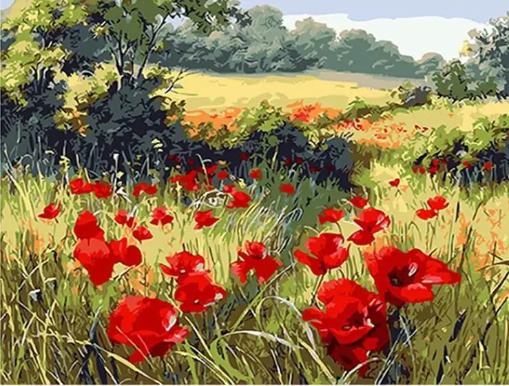 Red poppy Flowers DIY Painting By Numbers Acrylic Paint By Numbers HandPainted Oil Painting On Canvas For Home Decor
Red poppy Flowers DIY Painting By Numbers Acrylic Paint By Numbers HandPainted Oil Painting On Canvas For Home Decor