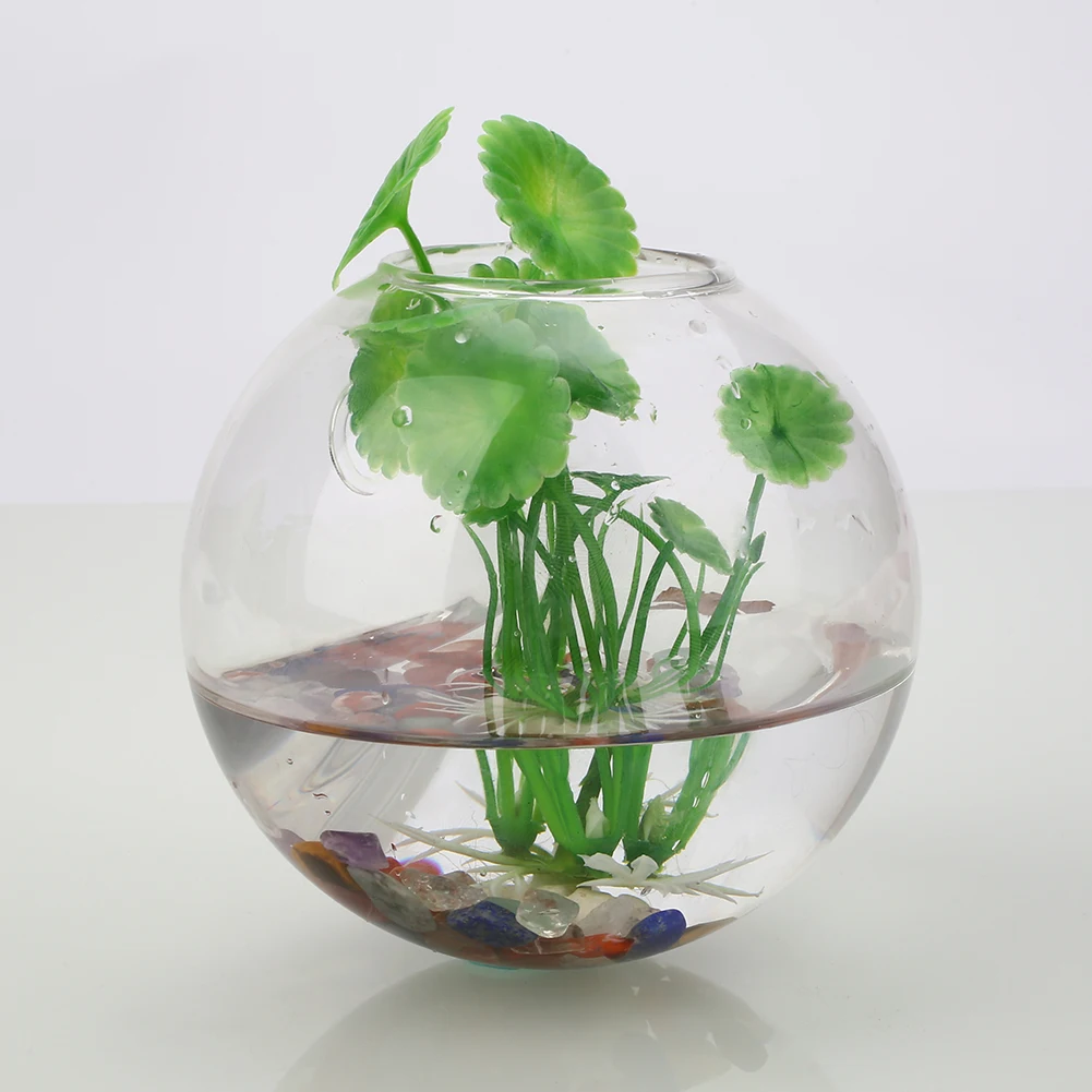 Wall Hang Glass Flower Vase Glass Flower Planter Vase Home Garden Ball Decor Wall Hang Terrarium Container 8cm
Wall Hang Glass Flower Vase Glass Flower Planter Vase Home Garden Ball Decor Wall Hang Terrarium Container 8cm