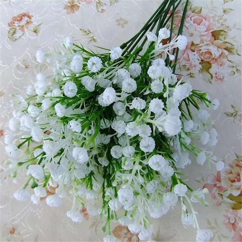 How To Grow Baby S Breath Garden Design Ideas How To Grow Baby S Breath Garden Design Ideas