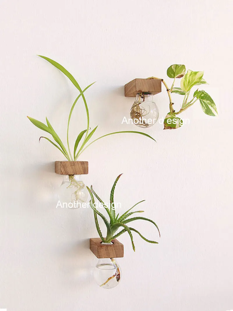 Bulb glass vases wall hanging solid wood flower pots planters home decoration crystal pots bar shop DIY bonsai decorative bulb
Bulb glass vases wall hanging solid wood flower pots planters home decoration crystal pots bar shop DIY bonsai decorative bulb