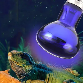 Pet Reptile Heating Bulb Purple Thermal Light Pet Brooder Lamp Night Light For Reptile and Amphibian E27 220-240V
Pet Reptile Heating Bulb Purple Thermal Light Pet Brooder Lamp Night Light For Reptile and Amphibian E27 220-240V