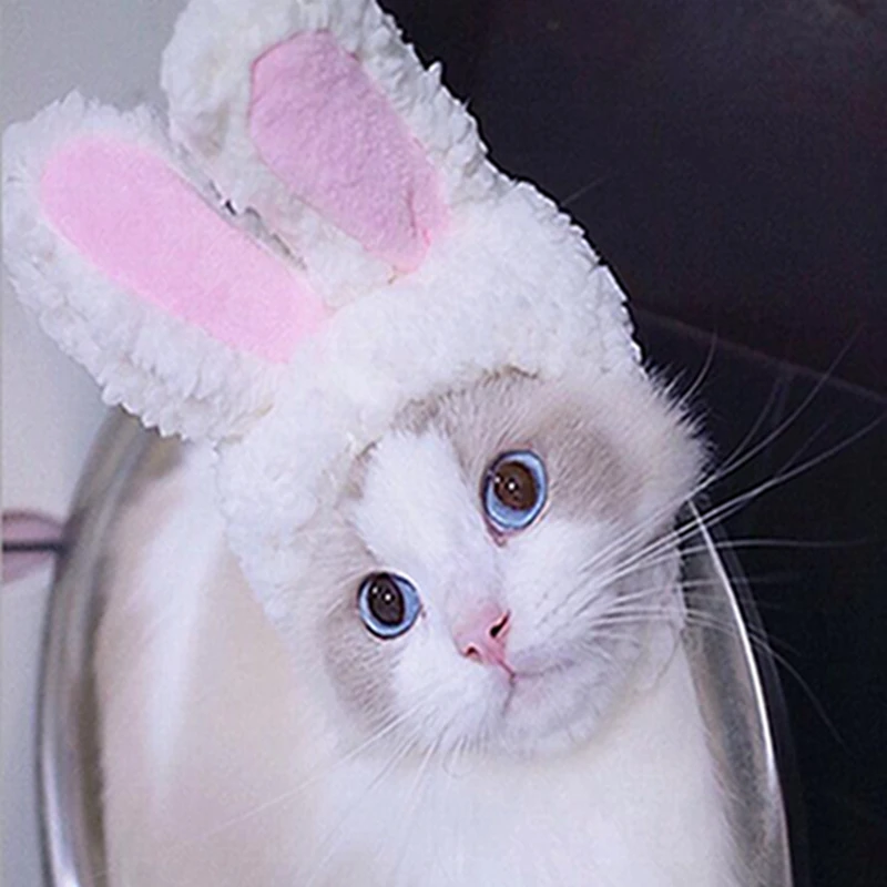 Cute Cat Hat Headdress Cat Toy Funny Pet Cap Cat Headgear Rabbit Hat Cap For Cat Kitten Party Costume Accessories Dropshipping
Cute Cat Hat Headdress Cat Toy Funny Pet Cap Cat Headgear Rabbit Hat Cap For Cat Kitten Party Costume Accessories Dropshipping