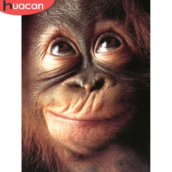 HUACAN Diamond Embroidery Painting Monkey 5d Diamond Mosaic Animal DIY Diamond Painting Kit Decoration Home Rhinestone
HUACAN Diamond Embroidery Painting Monkey 5d Diamond Mosaic Animal DIY Diamond Painting Kit Decoration Home Rhinestone