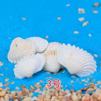 10-100PC set Factory direct selling fish Conch shells wax snail fish tank world Marine DIY materials crafts Home decoration dies
10-100PC set Factory direct selling fish Conch shells wax snail fish tank world Marine DIY materials crafts Home decoration dies