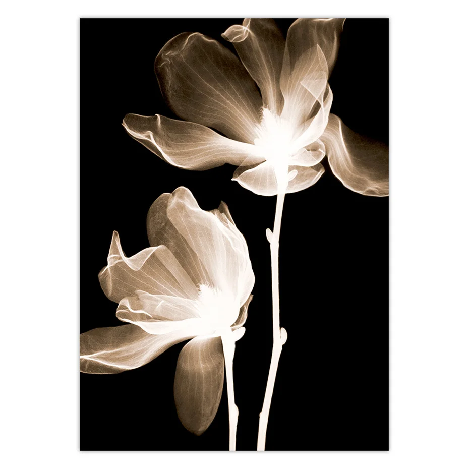 color_opt_6