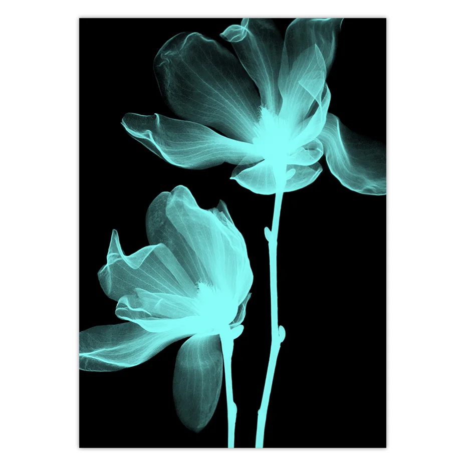 color_opt_3