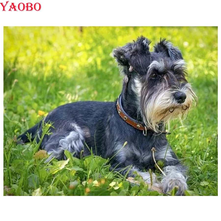 Full Square Round Diamond Painting photos custom pet dog Diamond Mosaic schnauzer dog 5D DIY Diamond Embroidery Rhinestone
Full Square Round Diamond Painting photos custom pet dog Diamond Mosaic schnauzer dog 5D DIY Diamond Embroidery Rhinestone