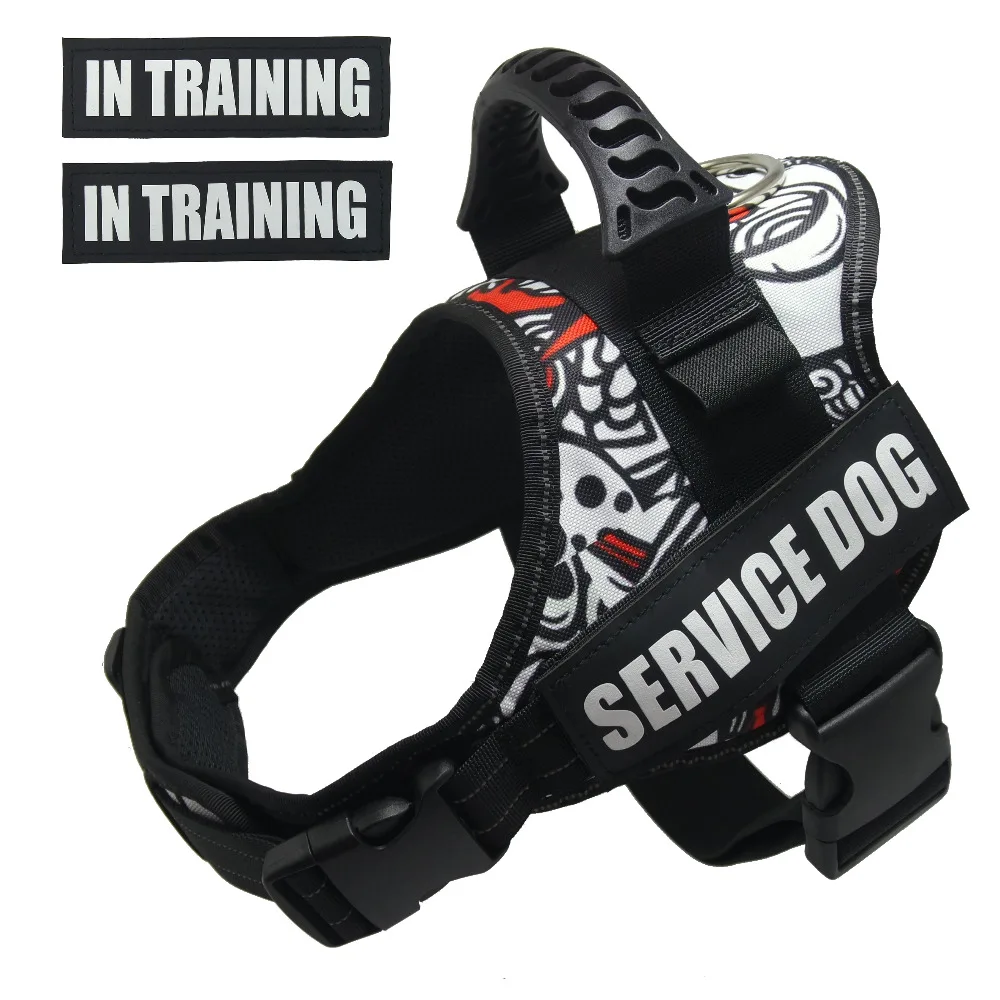 PET-K9 Dog Vest Harness for Service Dogs, Soft Mesh Lining Padded Dog Training Vest for Small Medium to Large Dog Warking, Train
PET-K9 Dog Vest Harness for Service Dogs, Soft Mesh Lining Padded Dog Training Vest for Small Medium to Large Dog Warking, Train