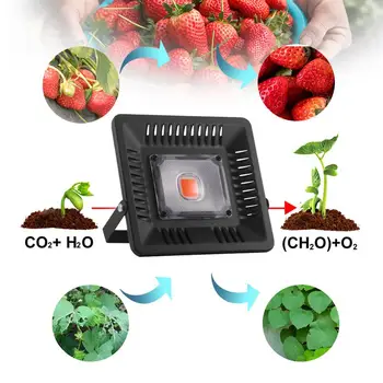 Full Spectrum LED Grow Light Waterproof IP67 100W COB Growth Flood Light for Plant Indoor Hydroponic Greenhouse
Full Spectrum LED Grow Light Waterproof IP67 100W COB Growth Flood Light for Plant Indoor Hydroponic Greenhouse