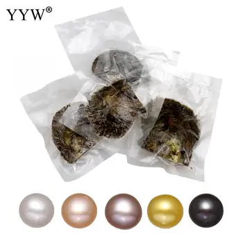 5pcs/lot Akoya Cultured Sea Mussel Pearl Oyster Beads Akoya Cultured Pearls Oyster Shell Mixed Colors Round 7-8mm Vacuum Packed
5pcs/lot Akoya Cultured Sea Mussel Pearl Oyster Beads Akoya Cultured Pearls Oyster Shell Mixed Colors Round 7-8mm Vacuum Packed