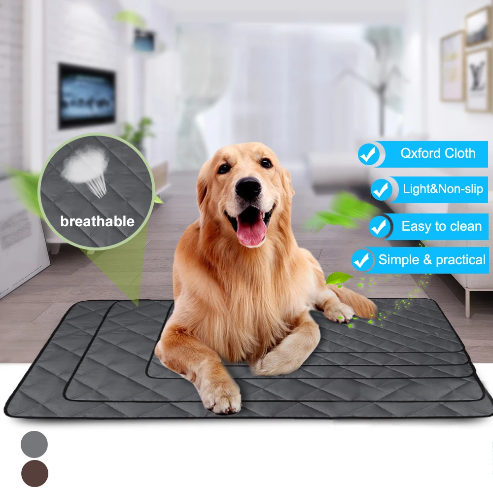Dog Summer Bed Mats Portable Pet Dog Waterproof Mat Blanket For Pets Sofa Waterproof Reusable Training Pad Dog Car Seat Cover
Dog Summer Bed Mats Portable Pet Dog Waterproof Mat Blanket For Pets Sofa Waterproof Reusable Training Pad Dog Car Seat Cover