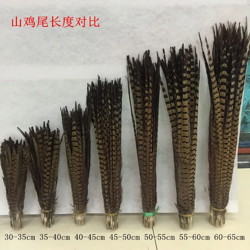 wholesale 50pcs/lot natural color Pheasant tail Feather 12-26inch/30-65cm ringneck plume Fly Tying craft feathers for wedding
wholesale 50pcs/lot natural color Pheasant tail Feather 12-26inch/30-65cm ringneck plume Fly Tying craft feathers for wedding