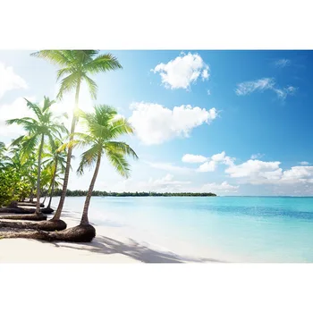 Hawaiian Style Photography Background Blue Sky Clear Water Palm Tree On The Beach Backdrop For Professional Photo Booth Props
Hawaiian Style Photography Background Blue Sky Clear Water Palm Tree On The Beach Backdrop For Professional Photo Booth Props