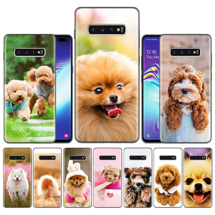 Capas Case Coque for Samsung Galaxy S10 S9 S8 Plus 5G A30 A50 A70 A40 A20 Note 8 9 10 Cover Carcass Samoyed Pomeranian dog Poodl
Capas Case Coque for Samsung Galaxy S10 S9 S8 Plus 5G A30 A50 A70 A40 A20 Note 8 9 10 Cover Carcass Samoyed Pomeranian dog Poodl
