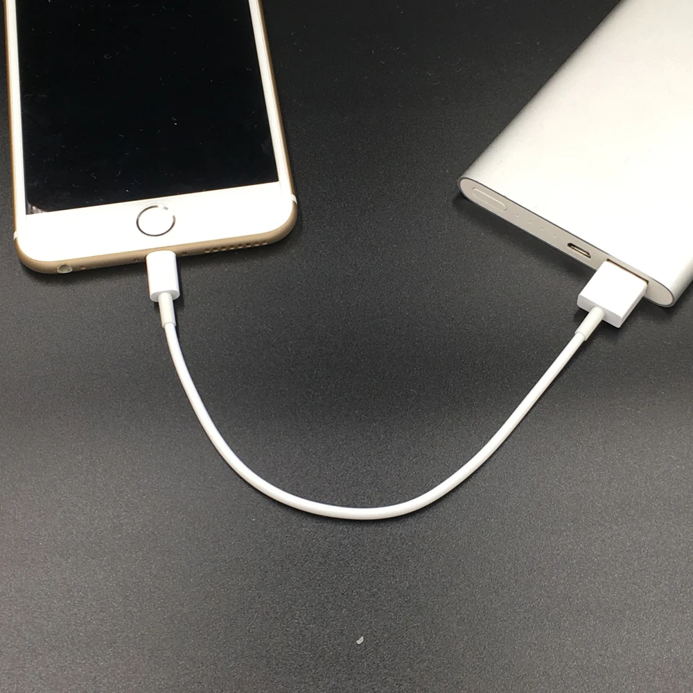 20 см Белый usb кабель для iPhone X Xs Max XR 8 7 6 S плюс 5 5S SE iPad Mini Air Pro зарядки синхронизации