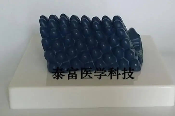 QQ20181213133316