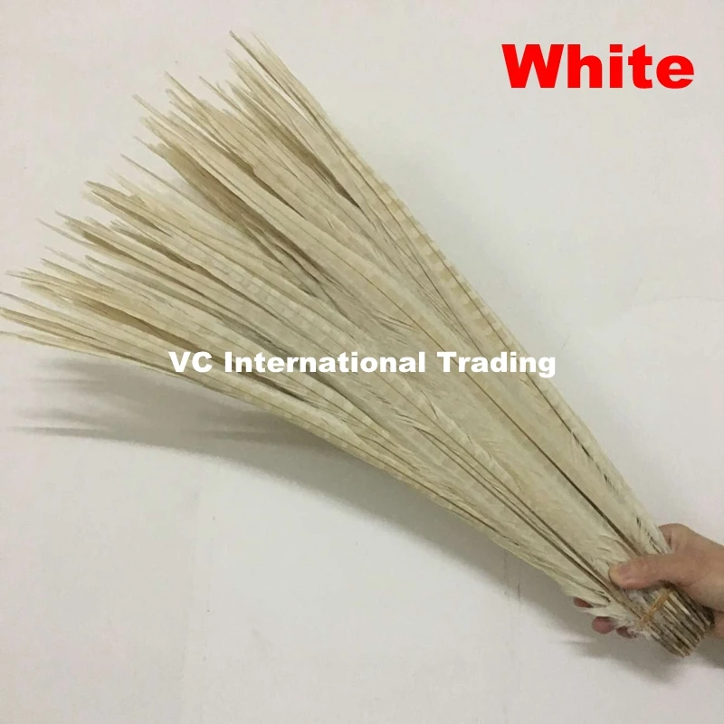 Free shipping 200pcs Bleached white ringneck pheasant tails Feather size range 25-70cm 10-28inch lady amherst pheasant feathers
Free shipping 200pcs Bleached white ringneck pheasant tails Feather size range 25-70cm 10-28inch lady amherst pheasant feathers