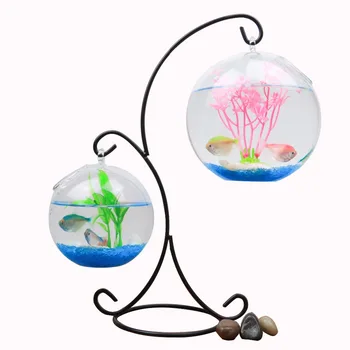 Diameter=12cm 15cm glass fishbowl and S Type metal stand home decoration clear glass terrarium vase Double Hock
Diameter=12cm 15cm glass fishbowl and S Type metal stand home decoration clear glass terrarium vase Double Hock