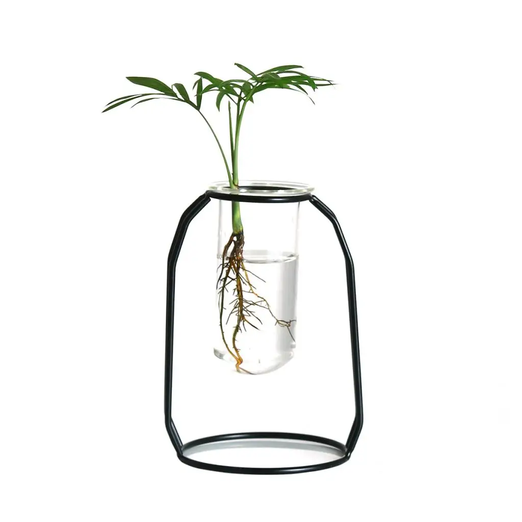 Glass Hydroponic Plant Water Flower Vase with Iron Stand for DIY Art Decoration Creative Gifts