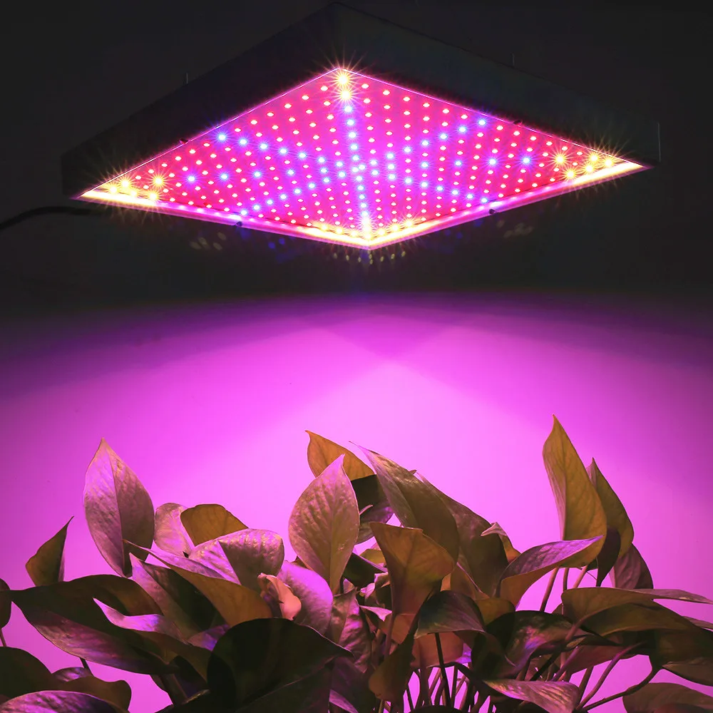 901