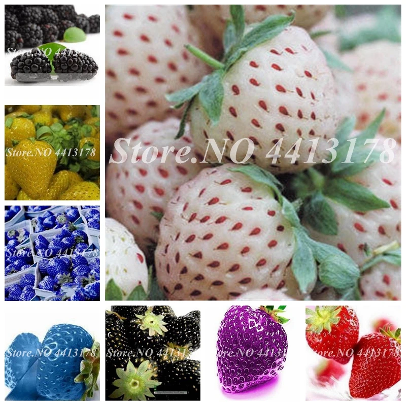 500 pcs/ bag Mixed Strawberry Bonsai Plant Outdoor Natural Giant Juicy Fruit Potted Plant for Home Garden Planting Easy to Grow
500 pcs/ bag Mixed Strawberry Bonsai Plant Outdoor Natural Giant Juicy Fruit Potted Plant for Home Garden Planting Easy to Grow