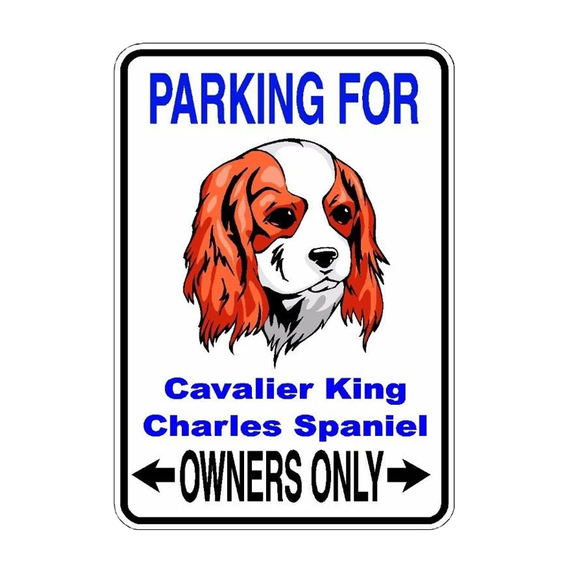 10*14.2CM Cavalier King Charles Spaniel Dog PVC High Quality Animal Car Sticker C1-4593
10*14.2CM Cavalier King Charles Spaniel Dog PVC High Quality Animal Car Sticker C1-4593