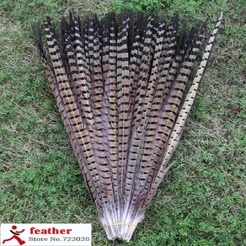 50 PCS high quality natural hot pheasant tail feathers 20-22 inches / 50 to 55 cm discipline feather wholesale
50 PCS high quality natural hot pheasant tail feathers 20-22 inches / 50 to 55 cm discipline feather wholesale