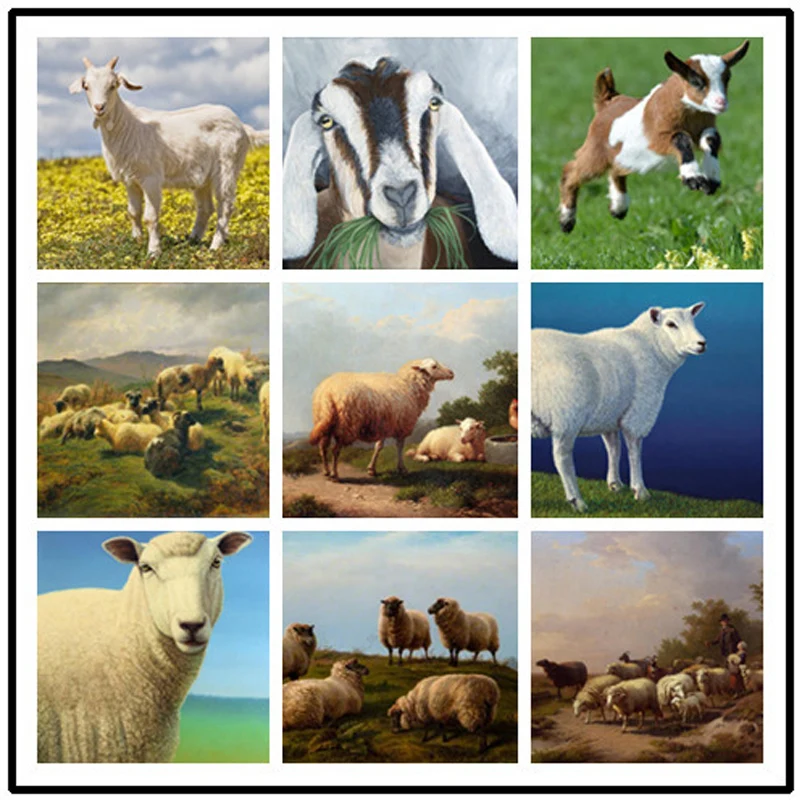 Diy 5D Diamond Painting Diamond Embroidery Cross Stitch Full Drill Square round Animal Wedding Decoration StickerZP-2929
Diy 5D Diamond Painting Diamond Embroidery Cross Stitch Full Drill Square round Animal Wedding Decoration StickerZP-2929