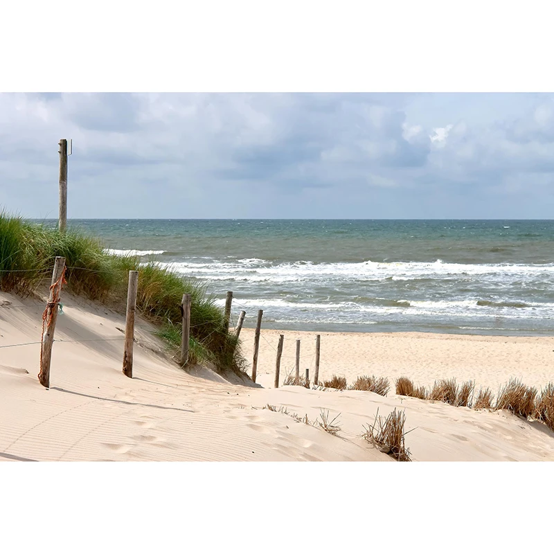 5D DIY Full Square Drill Diamond Painting Scenery Sea Beach Outside 3d Mosaic Diamant Embroidery Wedding Room Decoration
5D DIY Full Square Drill Diamond Painting Scenery Sea Beach Outside 3d Mosaic Diamant Embroidery Wedding Room Decoration