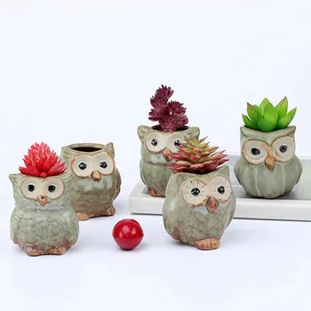 Flone Artificial Succulents Flowers Pots Owls Vase Personality Simple Ceramics Succulent Resin Pots Fake Plant Vase Home Decor
Flone Artificial Succulents Flowers Pots Owls Vase Personality Simple Ceramics Succulent Resin Pots Fake Plant Vase Home Decor