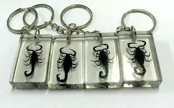 FREE SHIPPING 12 Piece fashion square design lucid real black scorpion biker keychain 
FREE SHIPPING 12 Piece fashion square design lucid real black scorpion biker keychain