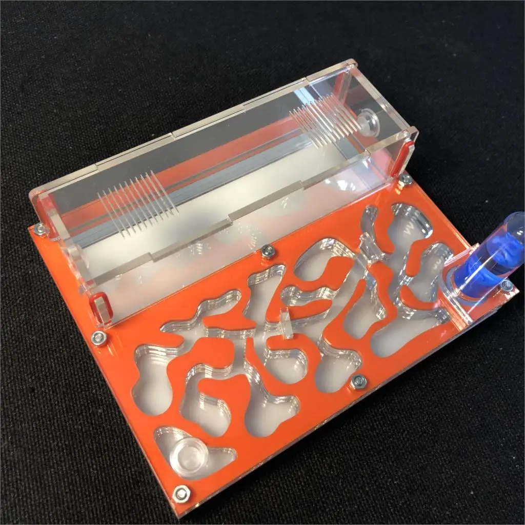 150mmx110mm test tube Moisture big space Ant Nest ,Ant Farm Acrylic, Insect ants Villa House Ants Ecological Workshop
150mmx110mm test tube Moisture big space Ant Nest ,Ant Farm Acrylic, Insect ants Villa House Ants Ecological Workshop