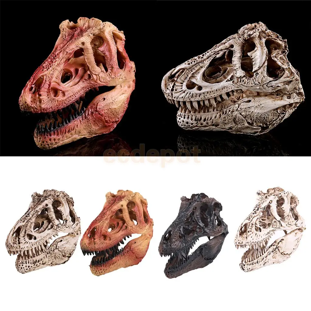 1/10 Scale Lifelike Dinosaur Tyrannosaurus Resin Fossil skull Model Collectibles
1/10 Scale Lifelike Dinosaur Tyrannosaurus Resin Fossil skull Model Collectibles