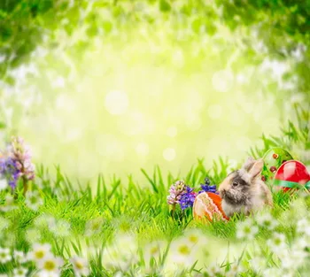 HUAYI 5x5ft(150cmx150cm)New Arrival Happy Easter Backdrop Photography For Studios Newborn Backdrop D-8515
HUAYI 5x5ft(150cmx150cm)New Arrival Happy Easter Backdrop Photography For Studios Newborn Backdrop D-8515
