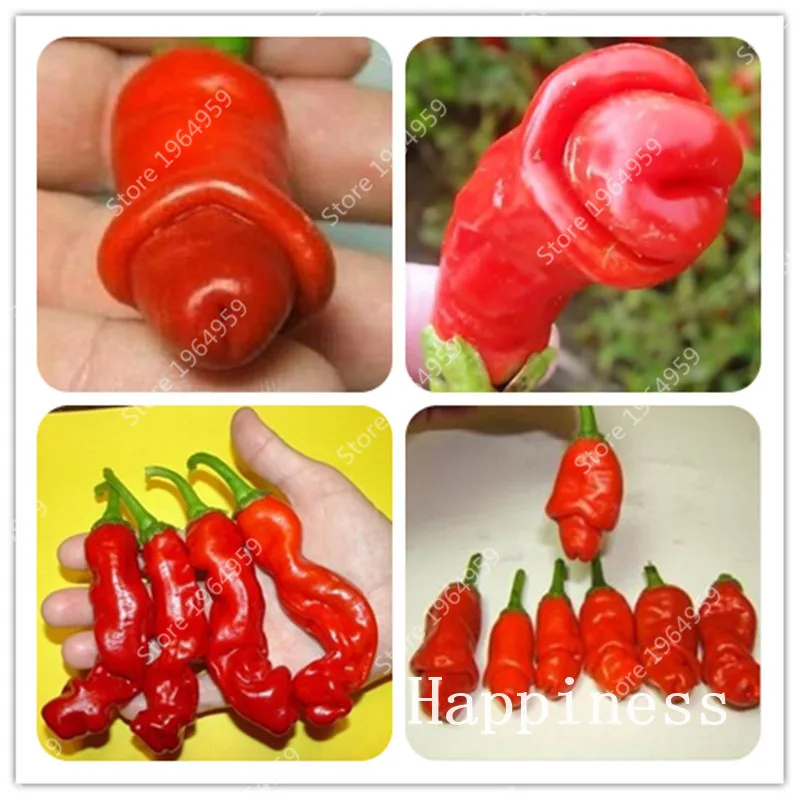 150 Pcs Bonsai Sweet Red Pepper Bonsai Great Annual Organic Delicious Chili Home Garden Delicious Vegetable Plant For Flower Pot
150 Pcs Bonsai Sweet Red Pepper Bonsai Great Annual Organic Delicious Chili Home Garden Delicious Vegetable Plant For Flower Pot