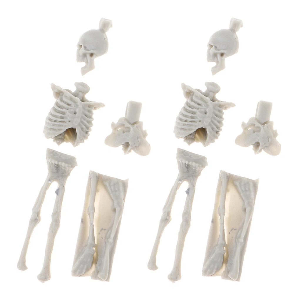 4Pcs 1:35 Scale Unpainted Unassemble Resin Skull Skeleton Model for Sand Table Armor Landcsape Diorama Building Toys