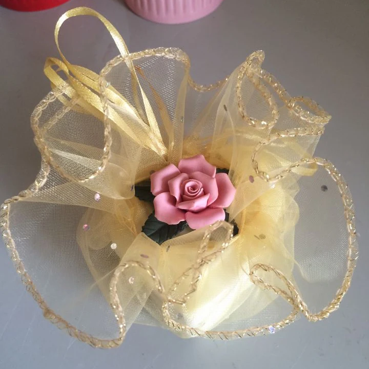 50pcs diameter 26cm gold Round Sachet Organza Bag Drawstring jewelry packaging bags for Wedding/gift/food/candy/Christmas
50pcs diameter 26cm gold Round Sachet Organza Bag Drawstring jewelry packaging bags for Wedding/gift/food/candy/Christmas