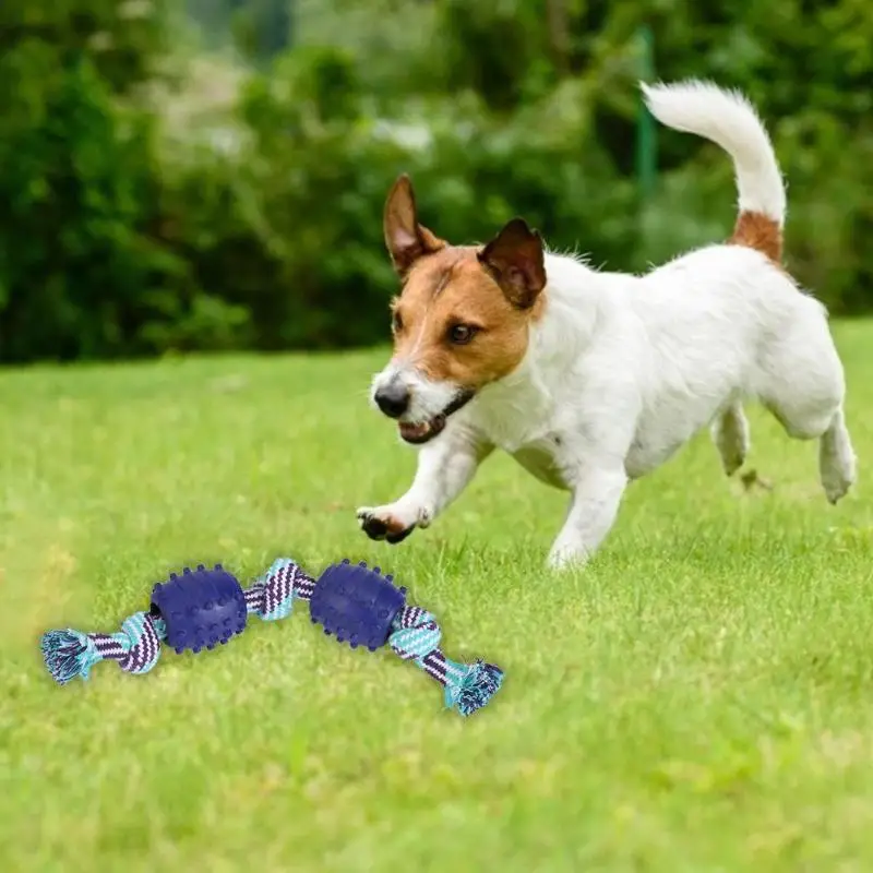 Blue/Red Pet Dog Toy Double Knot Cotton Rope TPR Ball Dog Bite Bite Molar Tooth Cleaning Toy
Blue/Red Pet Dog Toy Double Knot Cotton Rope TPR Ball Dog Bite Bite Molar Tooth Cleaning Toy