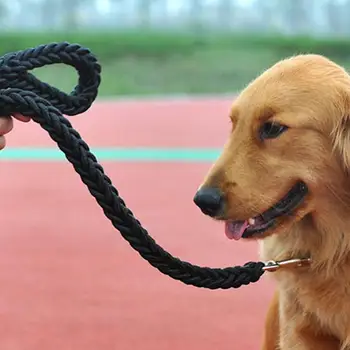 HiMISS Leash Black Thicken Pet Braided Leash Rope Outdoor Walking None Training Leash
HiMISS Leash Black Thicken Pet Braided Leash Rope Outdoor Walking None Training Leash