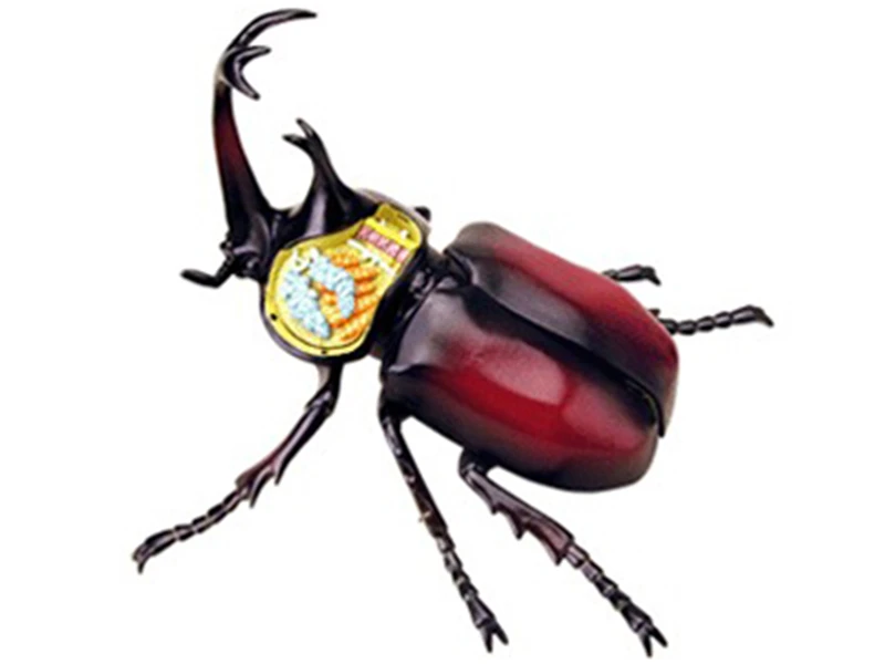 Educational Designer Toys 4D Animals Bugs mkd3 Master Simulation DIY Anatomical ladybug model for Children Celestial insect
Educational Designer Toys 4D Animals Bugs mkd3 Master Simulation DIY Anatomical ladybug model for Children Celestial insect