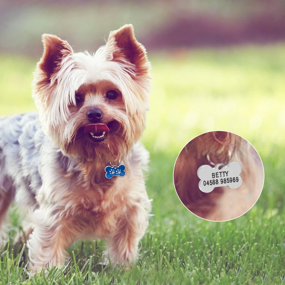 High-Quality Pet Keychain – Personalized Anti-Lost Dog ID Tag Bone Shape for Collar | AnoPetShop