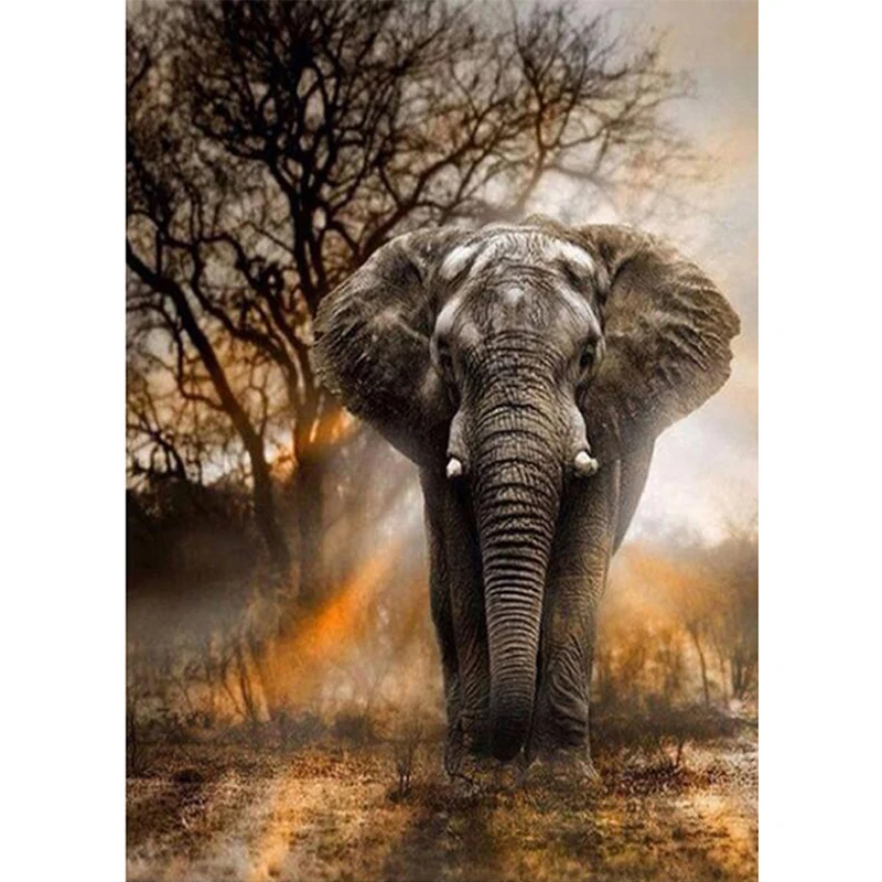 The 5D diamond painting by numbers of wall art Elephant DIY wall pictures for living room decoration Elephant diamond painting
The 5D diamond painting by numbers of wall art Elephant DIY wall pictures for living room decoration Elephant diamond painting