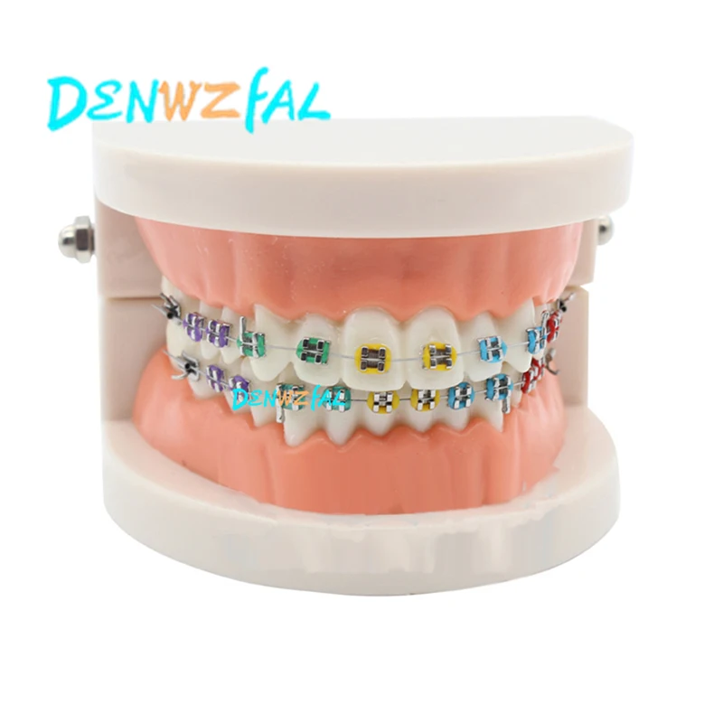 Dental Orthodontics Interproximal enamel reducted hand tools simple operation easy controlt
Dental Orthodontics Interproximal enamel reducted hand tools simple operation easy controlt