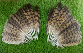 New! sale high quality owl feathers 25pcs / lot, 10-14 "/ 25-35cm, as shown in the picture Ordered length
New! sale high quality owl feathers 25pcs / lot, 10-14 "/ 25-35cm, as shown in the picture Ordered length