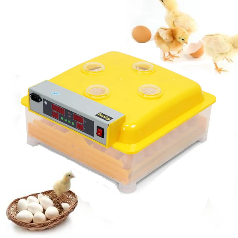 48 eggs household commercial use incubator for chick digital temperature control system egg tray brooder
48 eggs household commercial use incubator for chick digital temperature control system egg tray brooder