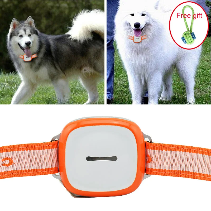 Mini Cat Dog Pet GPS Tracker Waterproof 2160 Hours Standby GSM GPRS Tracking Locator With SOS Alarm System Tracking Device
Mini Cat Dog Pet GPS Tracker Waterproof 2160 Hours Standby GSM GPRS Tracking Locator With SOS Alarm System Tracking Device